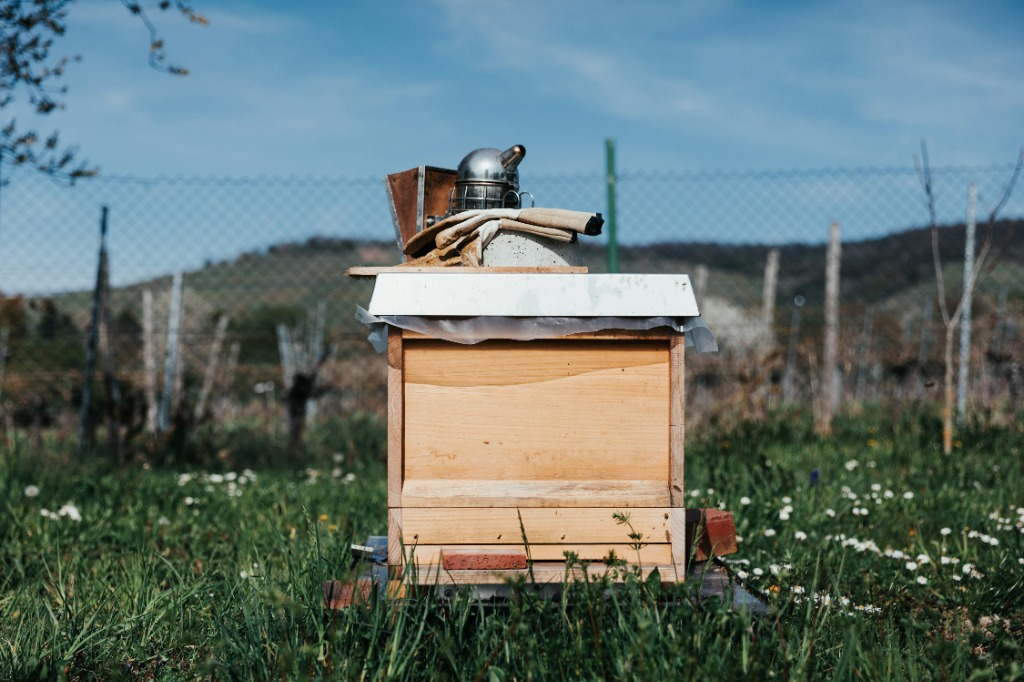 Wooden hive box with beekeeping smoker