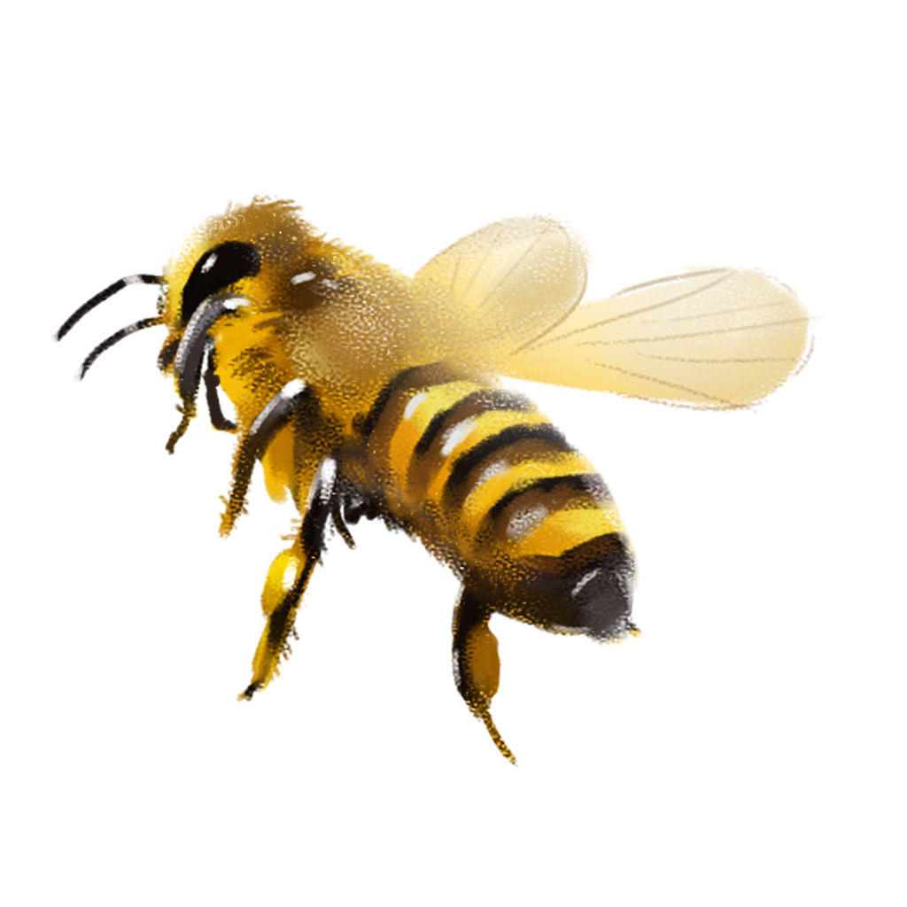 Flying Bee