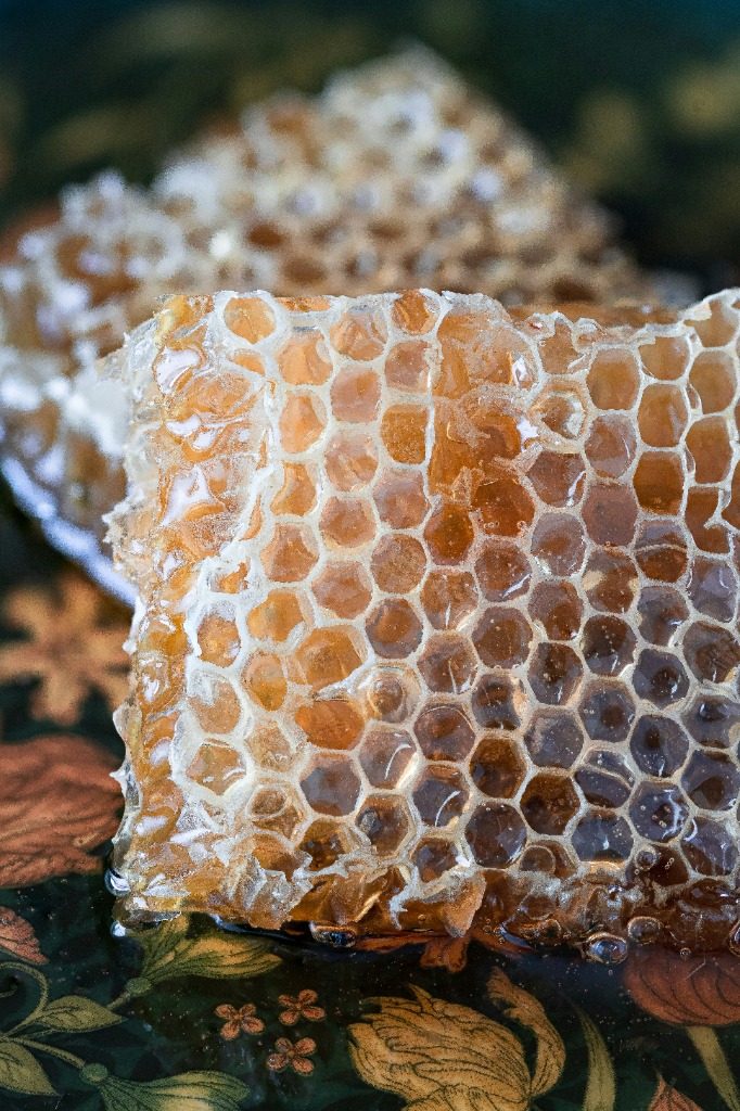 Fresh honey oozing from honeycomb cutouts